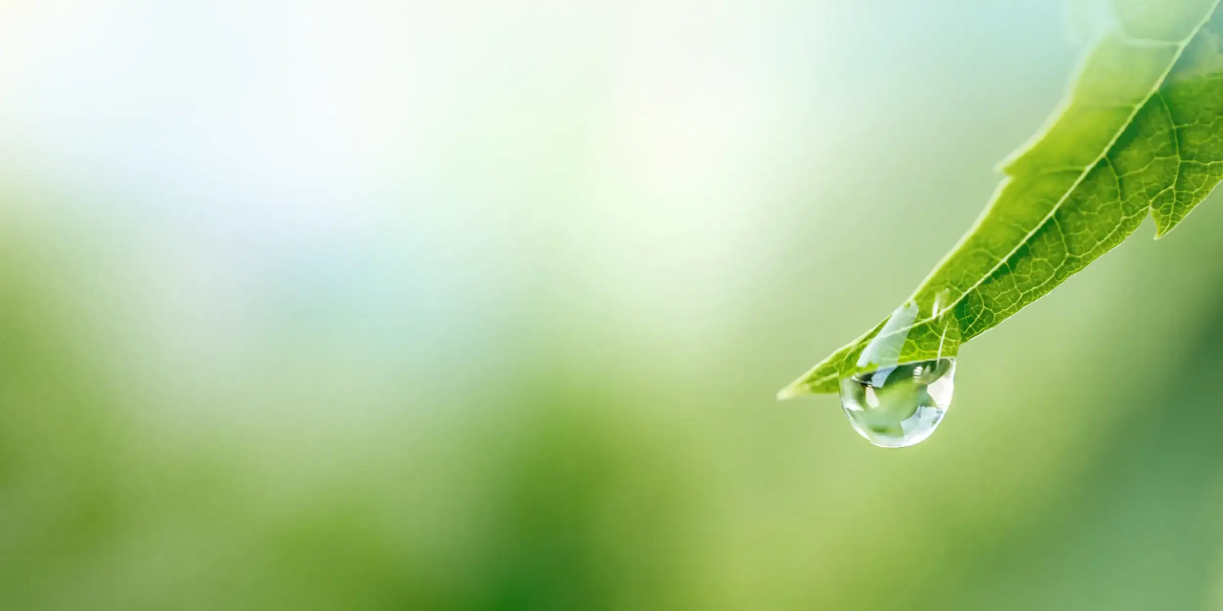 Nachhaltigkeit bei Bohnet